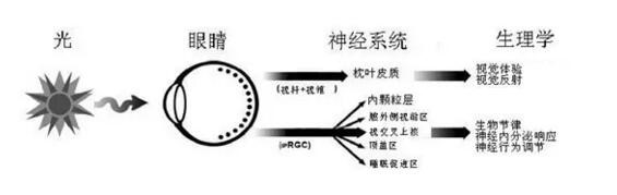圖片9
